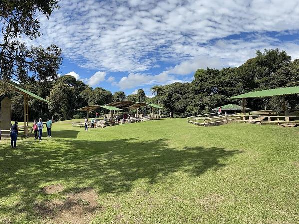 Tour Al Parque Arqueológico De San Agustín
